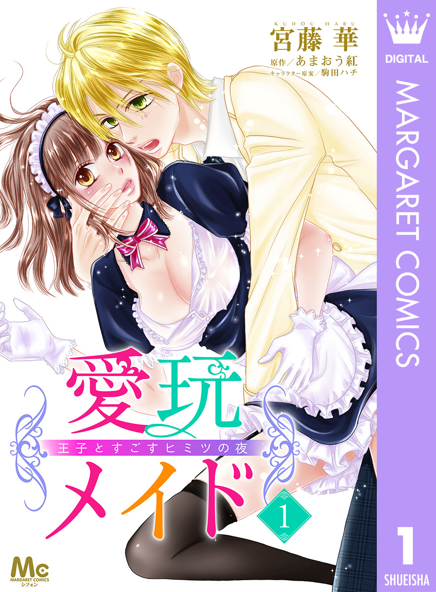 愛玩メイド 王子とすごすヒミツの夜 1 画像1