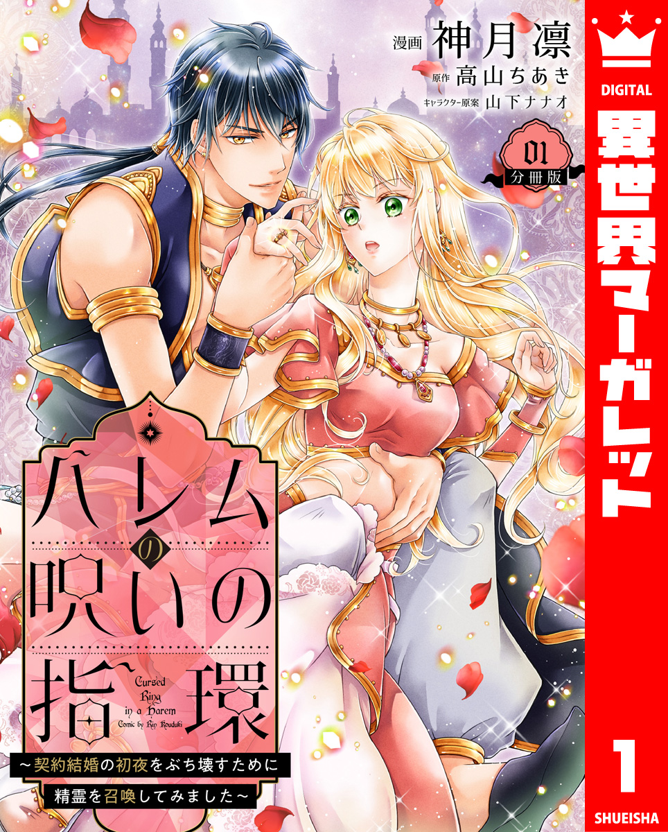 ハレムの呪いの指環~契約結婚の初夜をぶち壊すために精霊を召喚してみました~ 1 画像1
