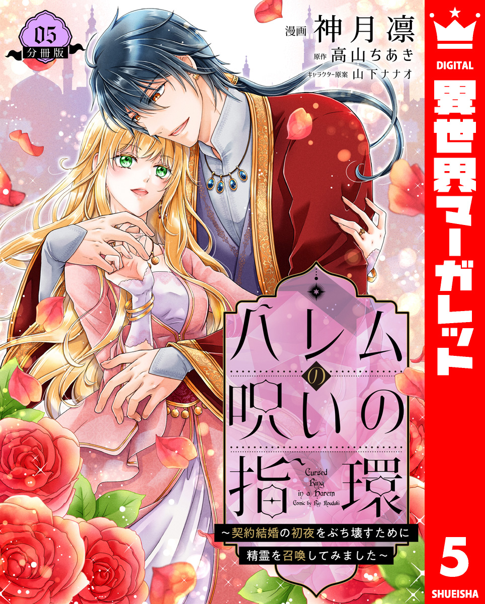 ハレムの呪いの指環~契約結婚の初夜をぶち壊すために精霊を召喚してみました~ 5 画像1